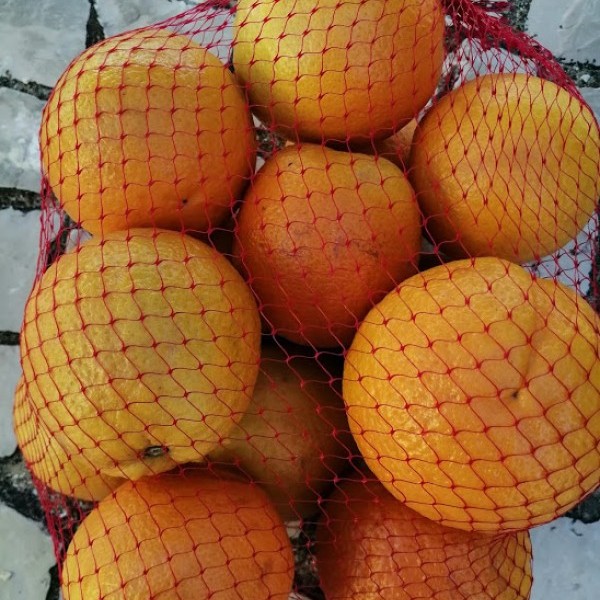 Sacos de laranjas